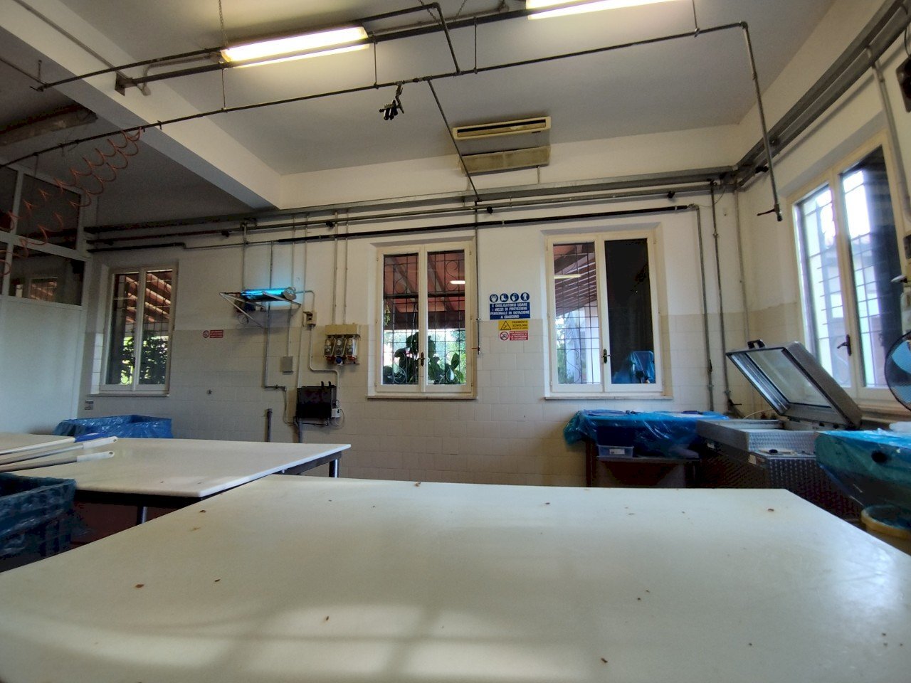 Shed Sala Baganza - photo 1