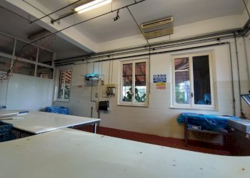 Shed Sala Baganza - photo 5