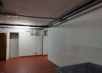 Shed Sala Baganza - photo 11