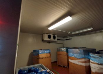 Shed Sala Baganza - photo 15