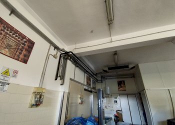 Shed Sala Baganza - photo 18