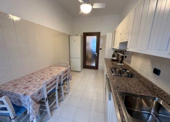 Non-buildable land Ferrara - photo 6