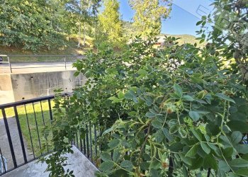 Bilocale Borgata Ruata , Pramollo - foto 12