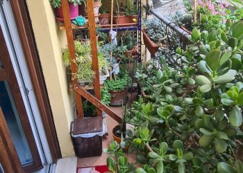 Balcone - Appartamento via Vittorio Bersezio, 3, Cuneo (zona Centro) - foto 16