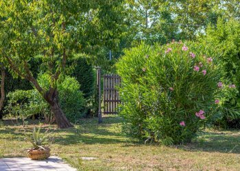 Villa a Schiera Minerbio - foto 6