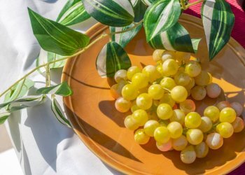 Villa a Schiera Minerbio - foto 17