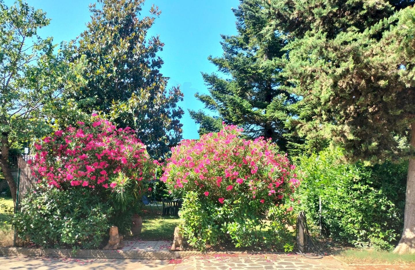 Monolocale Signa - foto 1