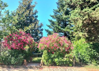 Monolocale Signa - foto 1