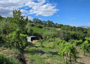 Foto 4 - Villa a Schiera C/da Saraceno, Montemarano - foto 4