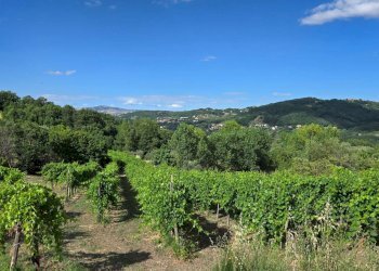 Foto 5 - Villa a Schiera C/da Saraceno, Montemarano - foto 5