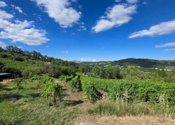 Foto 6 - Villa a Schiera C/da Saraceno, Montemarano - foto 6