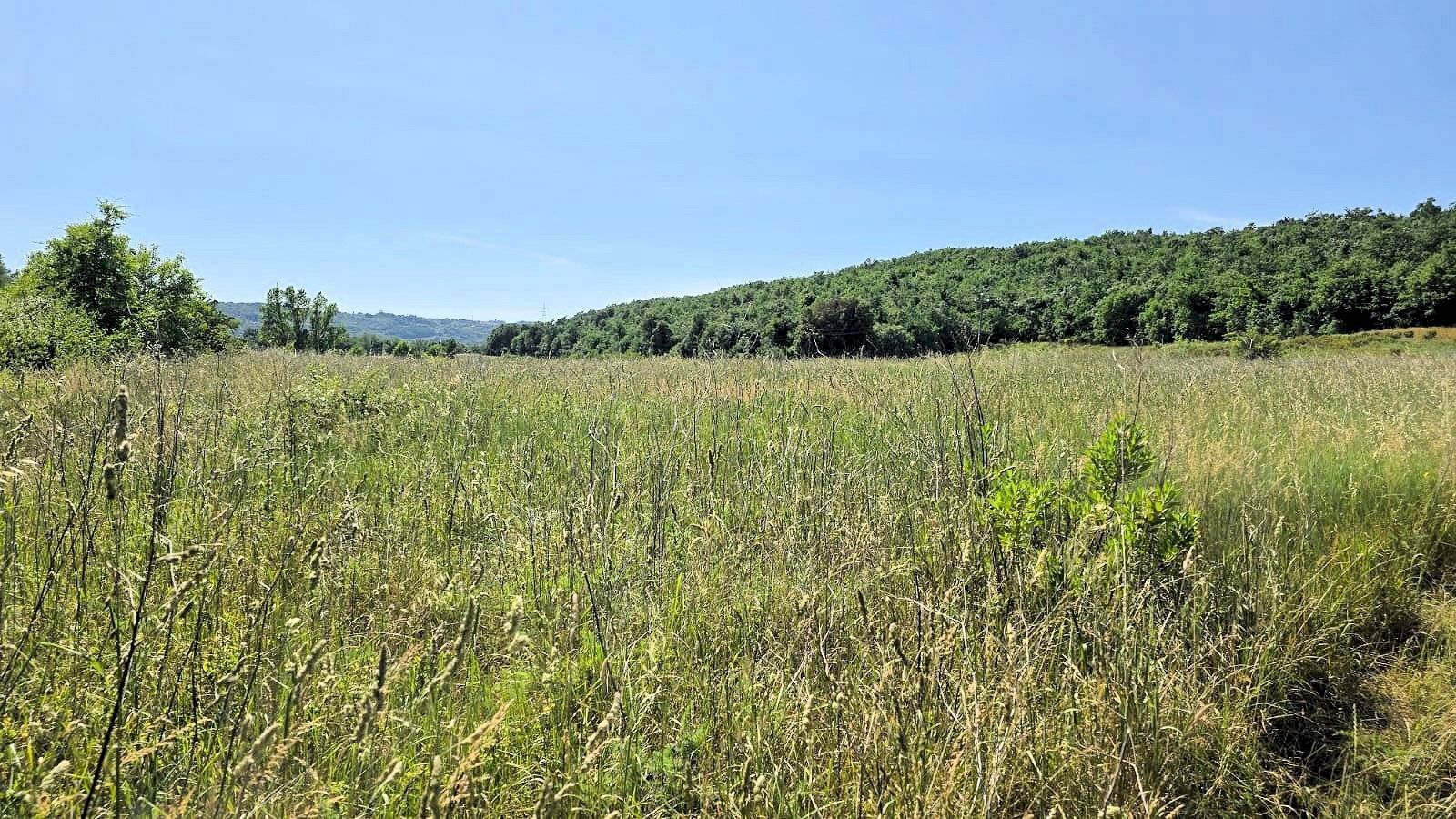 Foto 1 - Farm Massa Marittima - photo 1