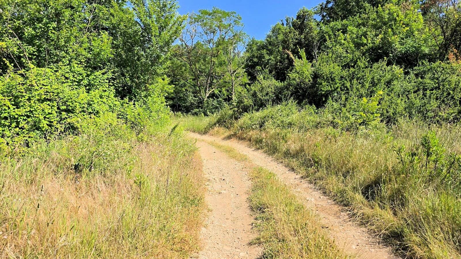 Foto 3 - Farm Massa Marittima - photo 3