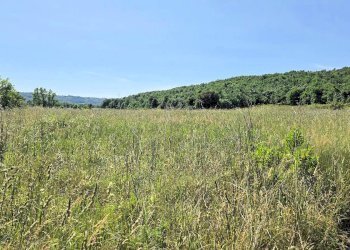 Foto 1 - Azienda agricola Massa Marittima - foto 1