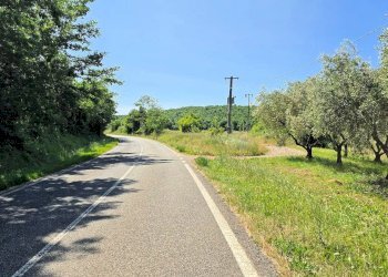 Foto 4 - Azienda agricola Massa Marittima - foto 4