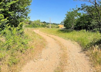 Foto 6 - Azienda agricola Massa Marittima - foto 6