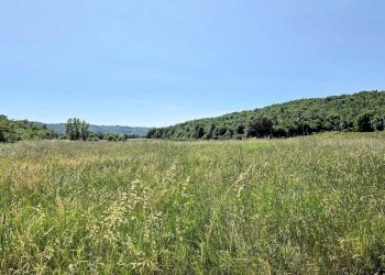 Foto 7 - Azienda agricola Massa Marittima - foto 7