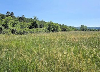 Foto 9 - Azienda agricola Massa Marittima - foto 9