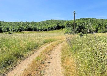 Foto 10 - Azienda agricola Massa Marittima - foto 10