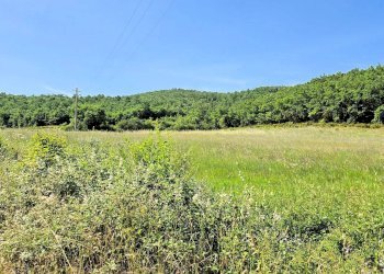 Foto 11 - Azienda agricola Massa Marittima - foto 11