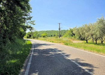 Foto 12 - Azienda agricola Massa Marittima - foto 12