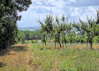 Foto 8 - Rustico Via matteotti, Barberino di Mugello - foto 8