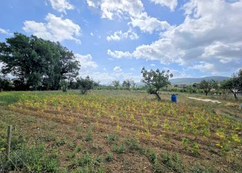 Foto 17 - Rustico Via matteotti, Barberino di Mugello - foto 17