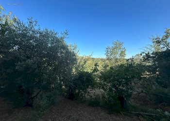 Foto 11 - Rustico VIA PIETRO NENNI
 
7/A, Spinetoli - foto 11