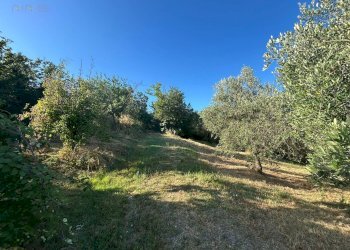 Foto 13 - Rustico VIA PIETRO NENNI
 
7/A, Spinetoli - foto 13