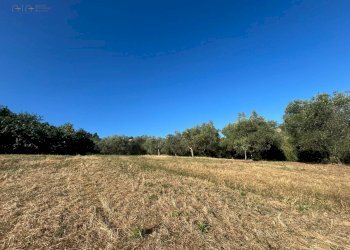 Foto 15 - Rustico VIA PIETRO NENNI
 
7/A, Spinetoli - foto 15