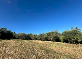 Foto 16 - Rustico VIA PIETRO NENNI
 
7/A, Spinetoli - foto 16