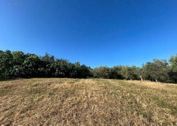 Foto 17 - Rustico VIA PIETRO NENNI
 
7/A, Spinetoli - foto 17