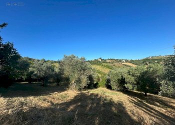 Foto 18 - Rustico VIA PIETRO NENNI
 
7/A, Spinetoli - foto 18