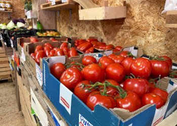 Foto 4 - Commercial Activity Verona - photo 4