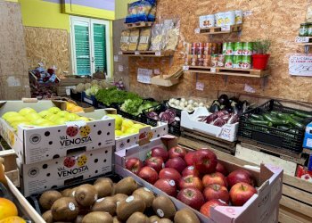 Foto 5 - Commercial Activity Verona - photo 5