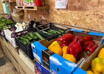 Foto 6 - Commercial Activity Verona - photo 6