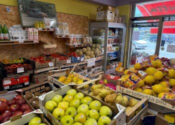 Foto 8 - Commercial Activity Verona - photo 8