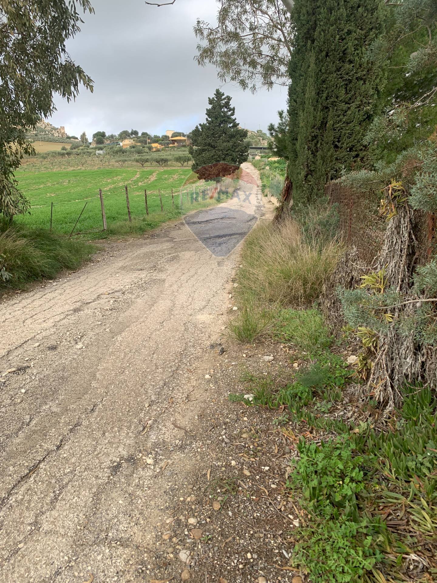 Giardino - Terreno agricolo Contrada Gulfi, Caltanissetta - foto 1
