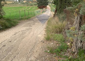 Giardino - Agricultural land Contrada Gulfi, Caltanissetta - photo 1