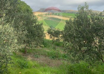 Giardino - Agricultural land Contrada Gulfi, Caltanissetta - photo 2