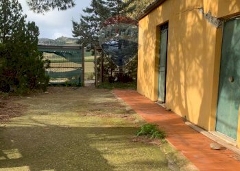 Giardino - Agricultural land Contrada Gulfi, Caltanissetta - photo 7