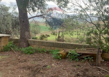 Giardino - Agricultural land Contrada Gulfi, Caltanissetta - photo 11