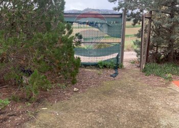 Giardino - Agricultural land Contrada Gulfi, Caltanissetta - photo 16