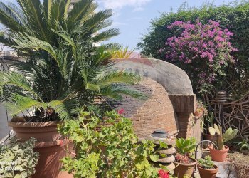 Giardino - Villa a Schiera via Cupa DErcole
 
10, Caserta - foto 26