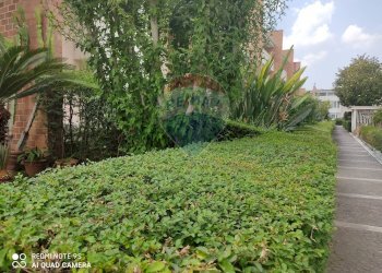 Giardino - Villa a Schiera via Cupa DErcole
 
10, Caserta - foto 73