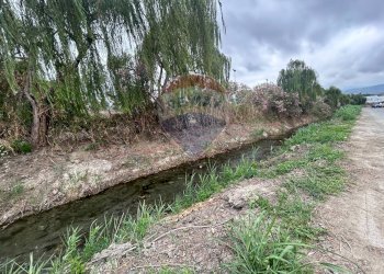 Giardino - Villa a Schiera via La Bruca, Scalea - foto 26