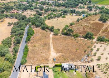 Foto 4 - Terreno edificabile Via L'Alzolu, Loiri Porto San Paolo - foto 4