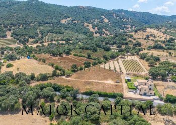 Foto 10 - Terreno edificabile Via L'Alzolu, Loiri Porto San Paolo - foto 10