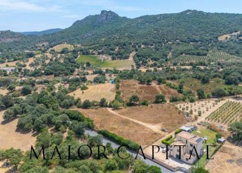 Foto 17 - Terreno edificabile Via L'Alzolu, Loiri Porto San Paolo - foto 17