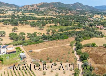 Foto 19 - Terreno edificabile Via L'Alzolu, Loiri Porto San Paolo - foto 19